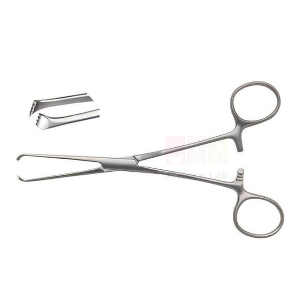 Allis Tissue Forceps